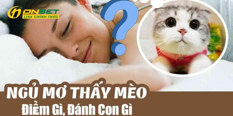 Một vài gợi ý may mắn cần biết sau khi mơ về mèo